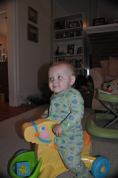 William's Fortieth Week 07.jpg